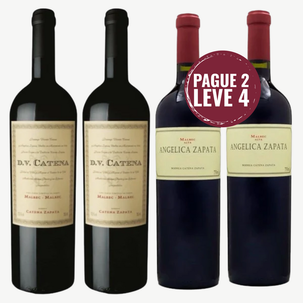 Kit 4 Vinhos Argentinos Malbec