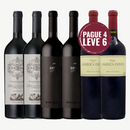Kit 6 Vinhos Argentino El Enemigo Alma Negra Angélica Zapata