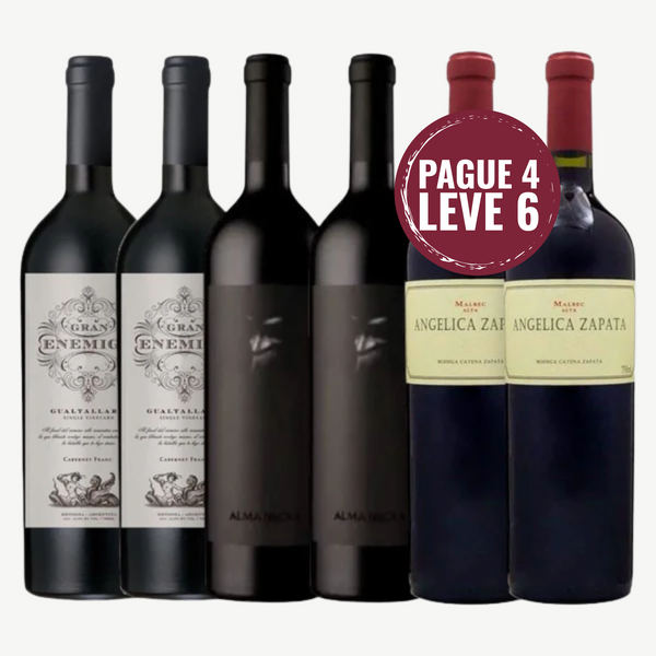 Kit 6 Vinhos Argentino El Enemigo Alma Negra Angélica Zapata